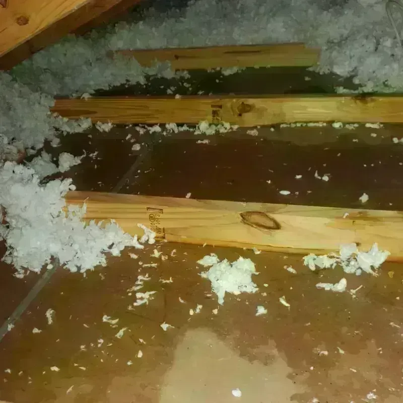 Attic Water Damage in South Canal, OH