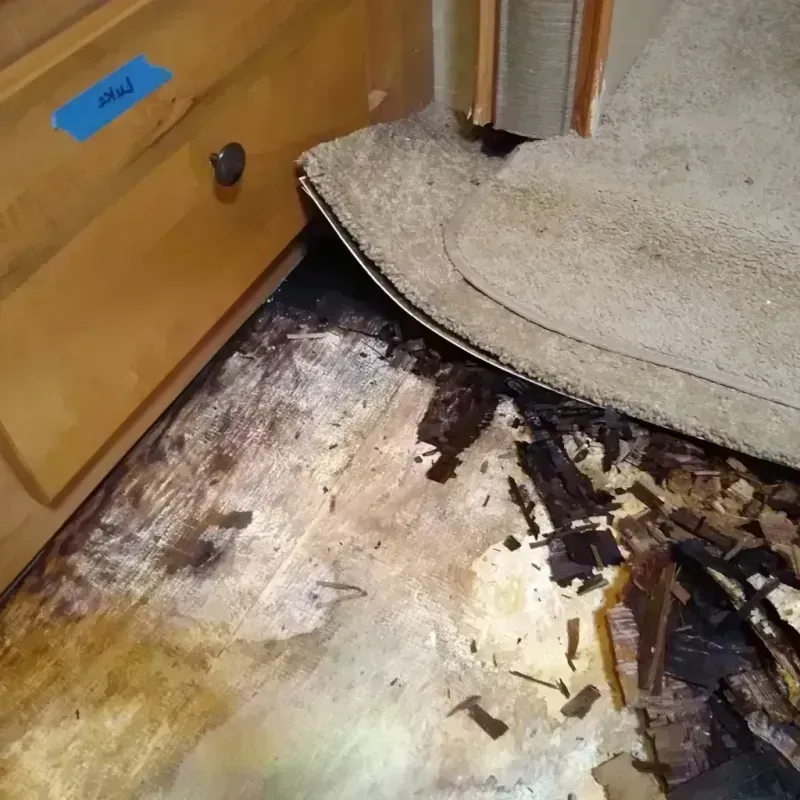 Wood Floor Water Damage in South Canal, OH